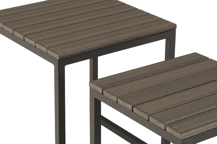 Cyrus Nesting End Table (Set of 2)